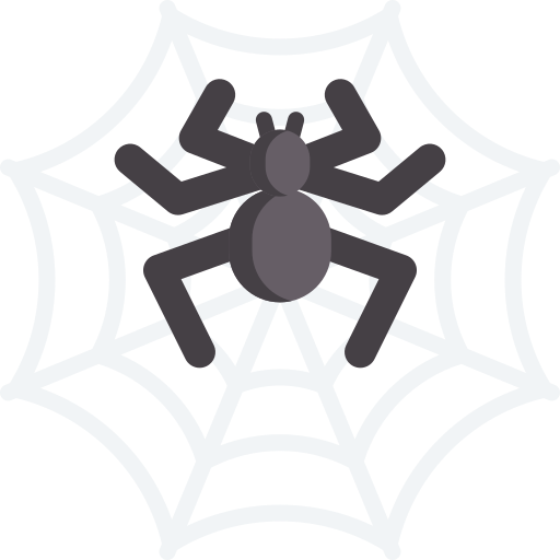 Spider web